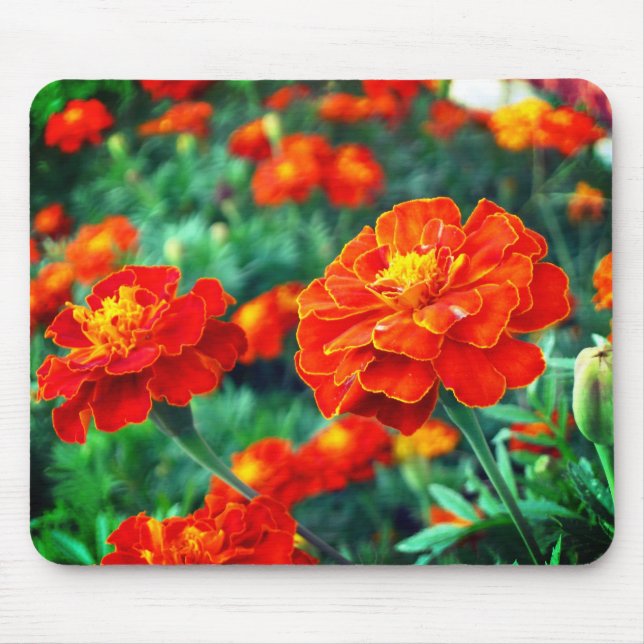 Mousepad Flowers in the Garden (Frente)