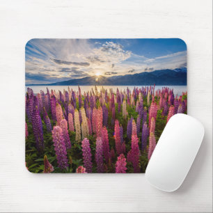 Mousepad Flowers   Lupines New Zealand