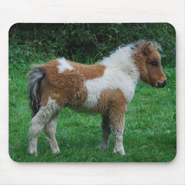 Mousepad Fluffy Adorable Dartmoor Pony (Frente)