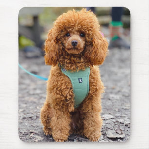 Mousepad Fluffy Brown Poodle Puppy Dog