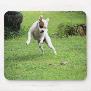 Mousepad Flutuação