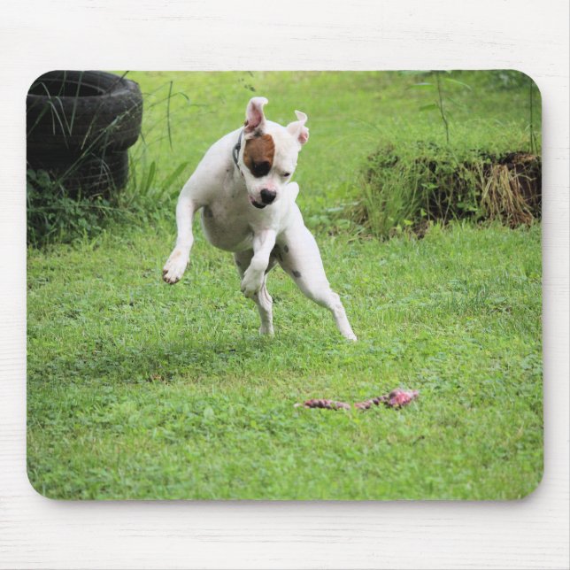 Mousepad Flutuação (Frente)