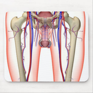 Mousepad Fluxo sanguíneo