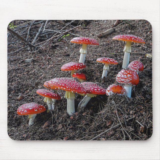 Mousepad Fly agaric (Frente)