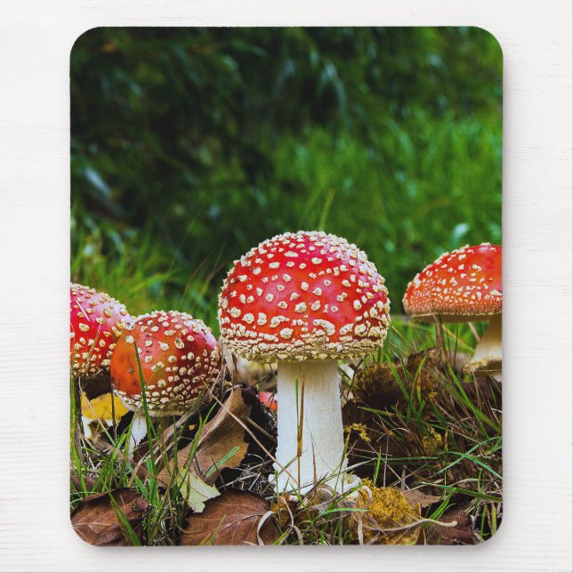 Mousepad Fly agaric (Frente)