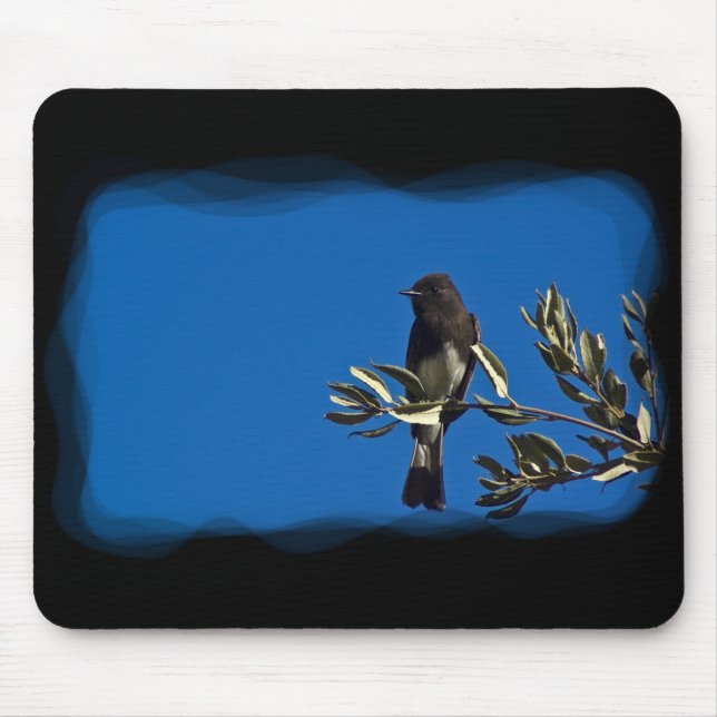 Mousepad Fly Catcher (Frente)