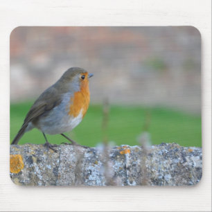 Mousepad Flycatcher de peito encarnado