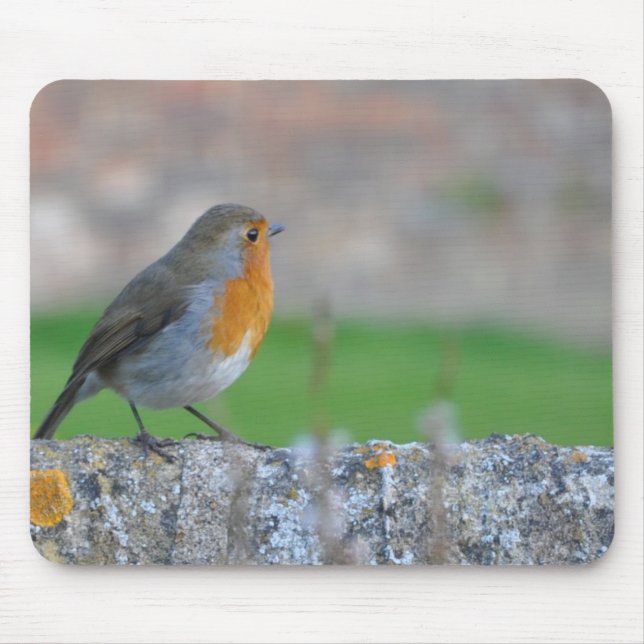 Mousepad Flycatcher de peito encarnado (Frente)