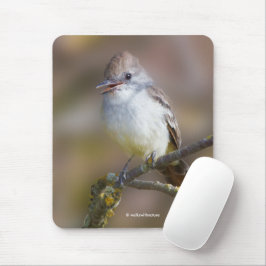 Mousepad Flycatcher-Espinheira-Cinza-Trocada na Ramificação