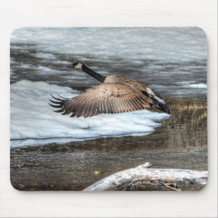 Mousepad Flying Canada Goose, Pond & Snow Willife Photo