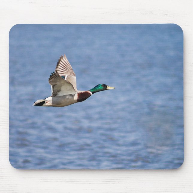 Mousepad Flying Mallard (Frente)