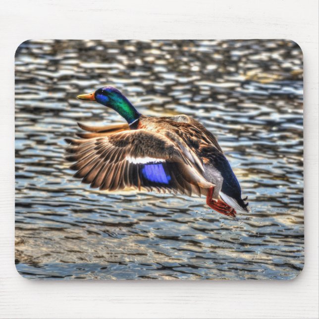 Mousepad Flying Mallard Drake em Sunset Wildlife Gift (Frente)