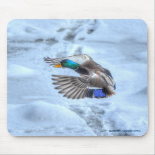 Mousepad Flying Mallard Duck Drake Wildlife Foto