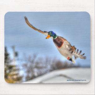 Mousepad Flying Mallard Duck Drake Wildlife Foto