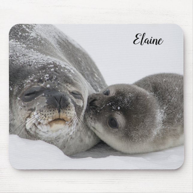 Mousepad Foca bebê fofa e mamãe (Frente)