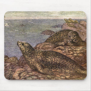 Mousepad Focas, Animais Marinhos Antigos da Vida Oceânica