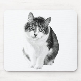 Mousepad Foco Calmo e Aconchegante