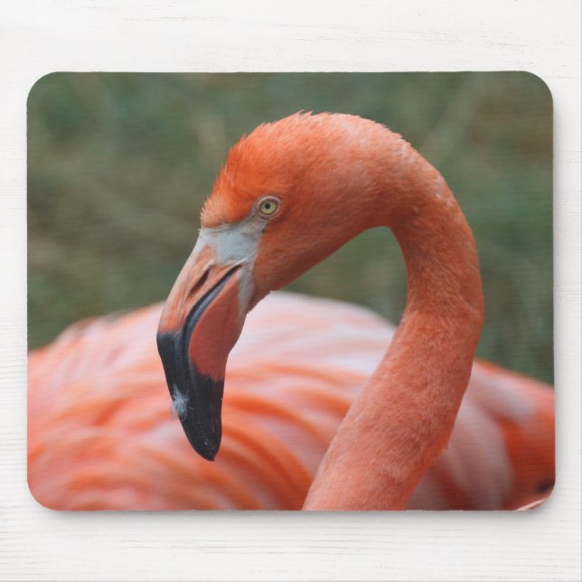 Mousepad Foenicoptero (Frente)