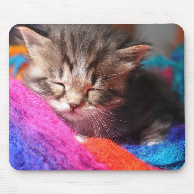 Mousepad Fofa Fotografria de Gatinho Recém-Nascido Adormeci (Frente)