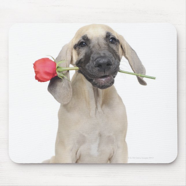 Mousepad fofo, admiração, romance, amor, (Frente)