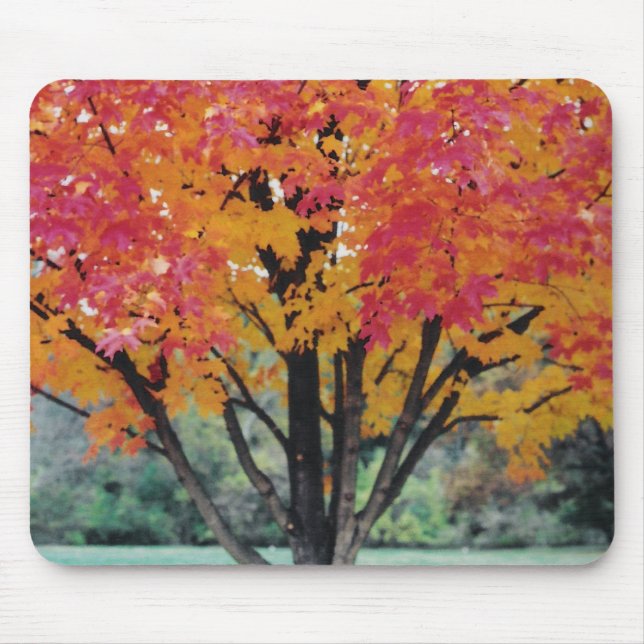 Mousepad Fogo do outono (Frente)
