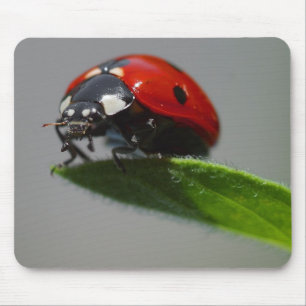 Mousepad Folha da senhora Mas Borda