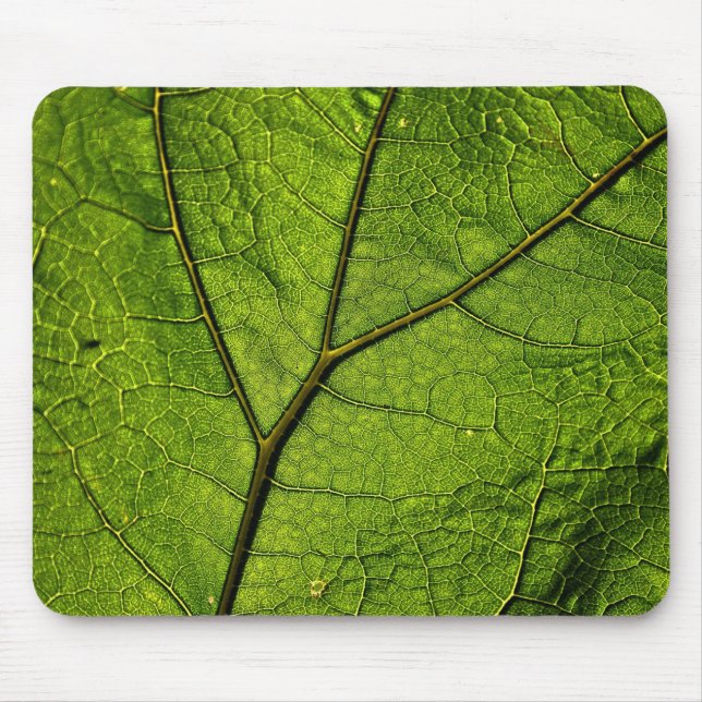 Mousepad Folha de Borboleta Verde (Frente)
