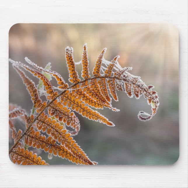 Mousepad Folha de Fern com gelo gelado numa natureza fria d (Frente)