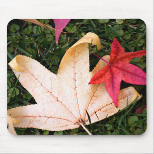 Mousepad Folha de Mapeamento Brilhante Colorida
