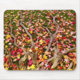 Mousepad Folha de Mapeamento Brilhante Colorida