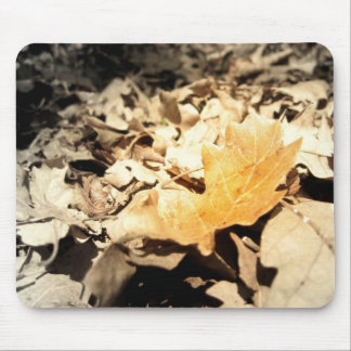 Mousepad Folha do outono
