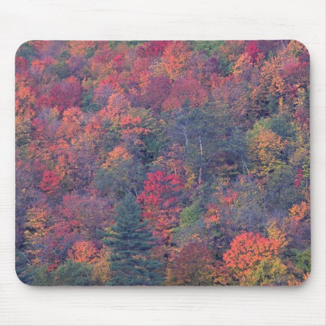 Mousepad Folha do outono de uma floresta de folhosa (Frente)