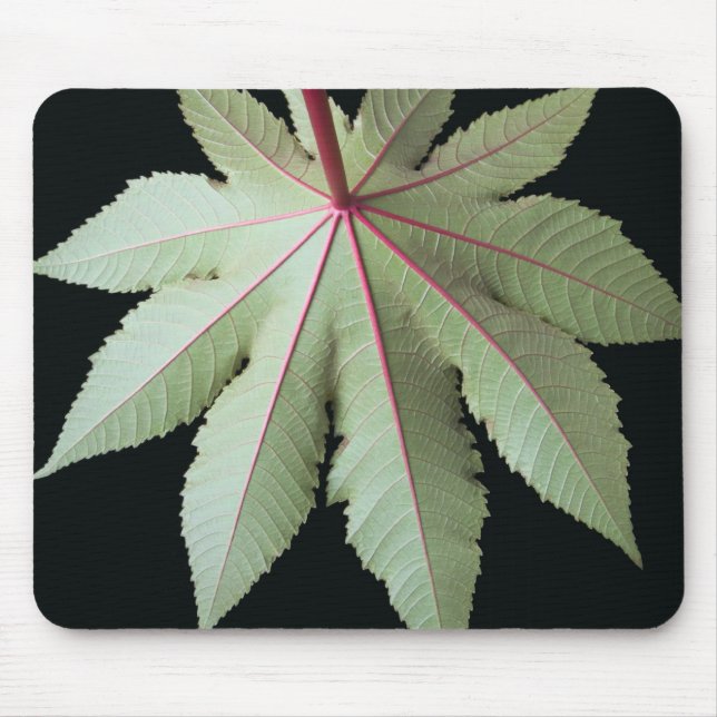 Mousepad Folha e haste (Frente)