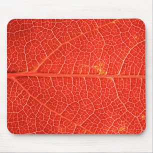 Mousepad Folha outonal