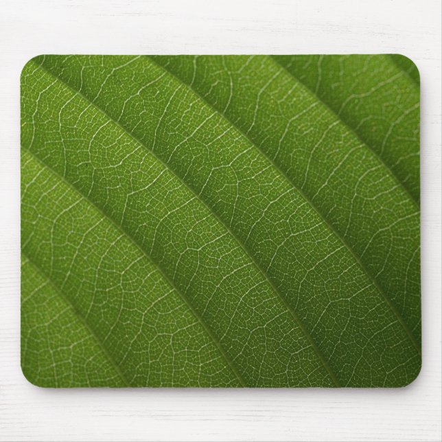Mousepad Folha verde (Frente)