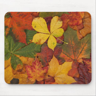 Mousepad Folhagem de outono