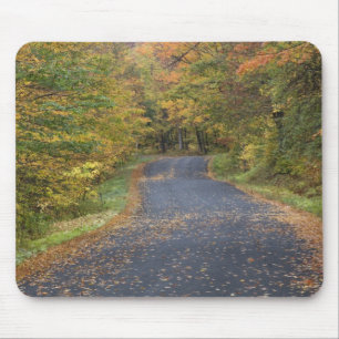 Mousepad Folhagem de outono à beira da estrada, sul de Verm