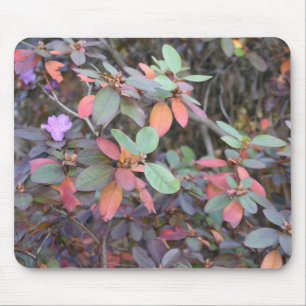 Mousepad Folhagem de outono O outono deixa fotografia em ár