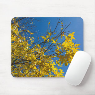 Mousepad Folhas Amarelas na Árvore de Queda