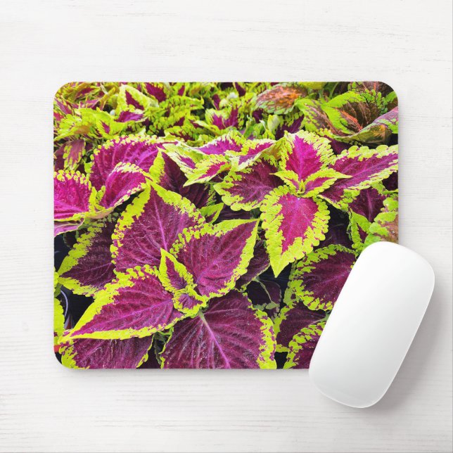 Mousepad Folhas Coloridas de Coleus (Com mouse)