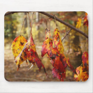 Mousepad Folhas da queda