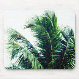 Mousepad Folhas de Árvore Palm