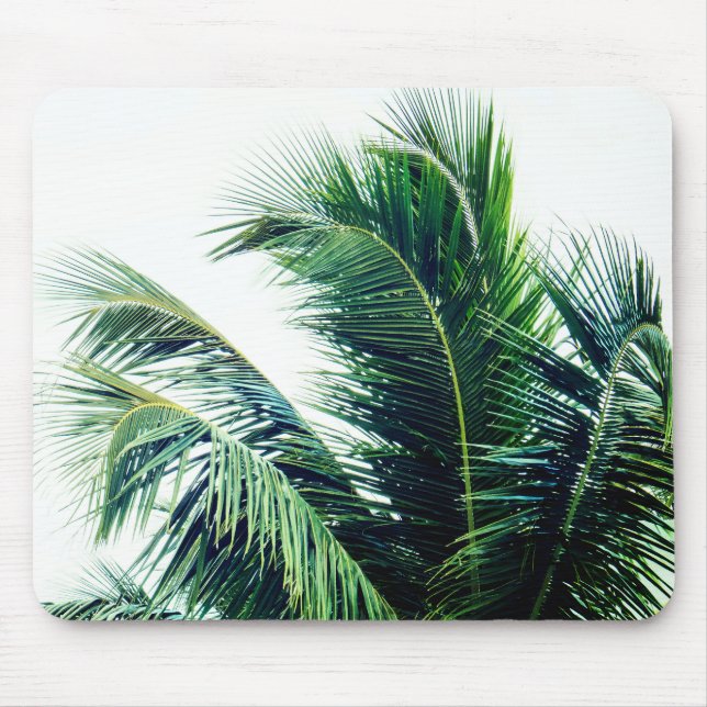 Mousepad Folhas de Árvore Palm (Frente)