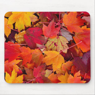 Mousepad Folhas de bordo magníficas