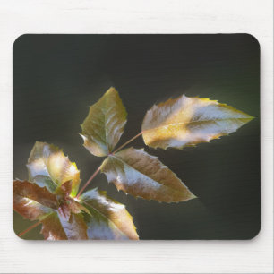 Mousepad folhas de brilho
