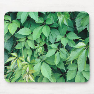 Mousepad Folhas de Grama Verde