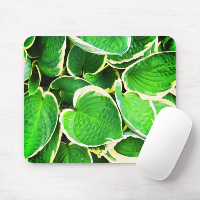Mousepad Folhas de Hosta primavera verde (Com mouse)
