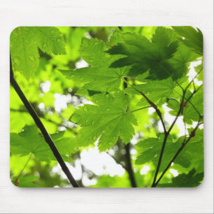 Mousepad Folhas de Mapeamento com Raindrops