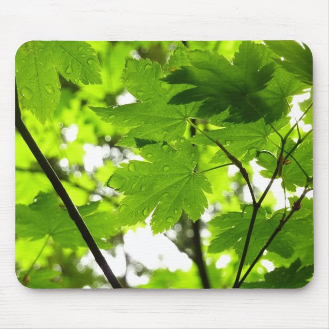 Mousepad Folhas de Maple com Gotas de Rainha (Frente)