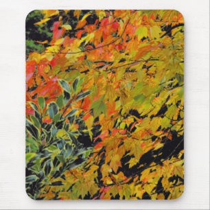 Mousepad Folhas de outono